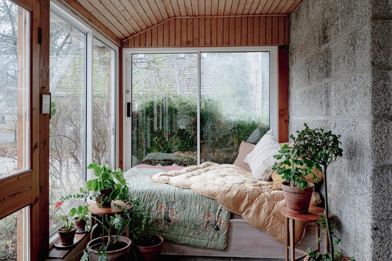 شقة The Dell Of Abernethy - A Woodland Hideaway نيثي بريدج المظهر الخارجي الصورة