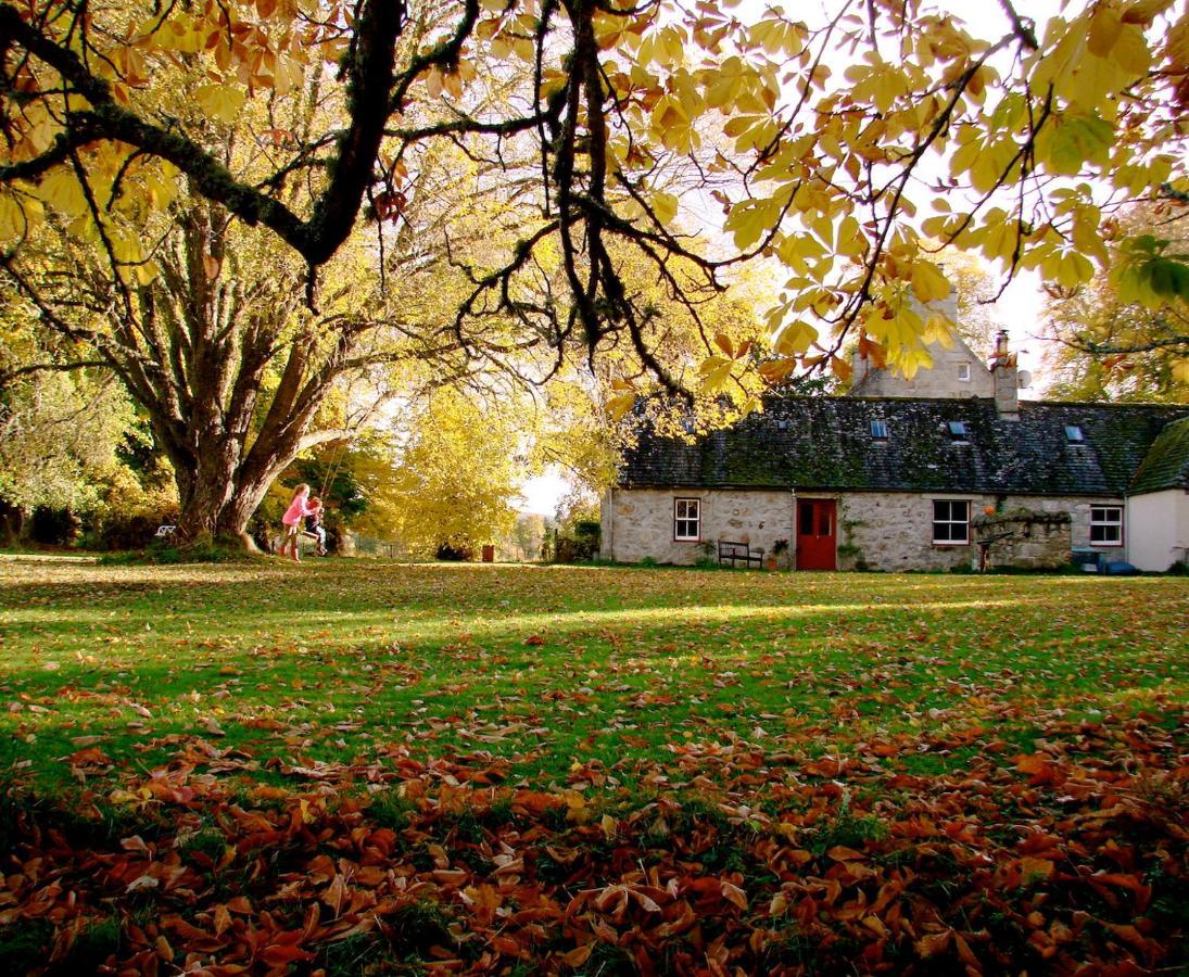 شقة The Dell Of Abernethy - A Woodland Hideaway نيثي بريدج المظهر الخارجي الصورة