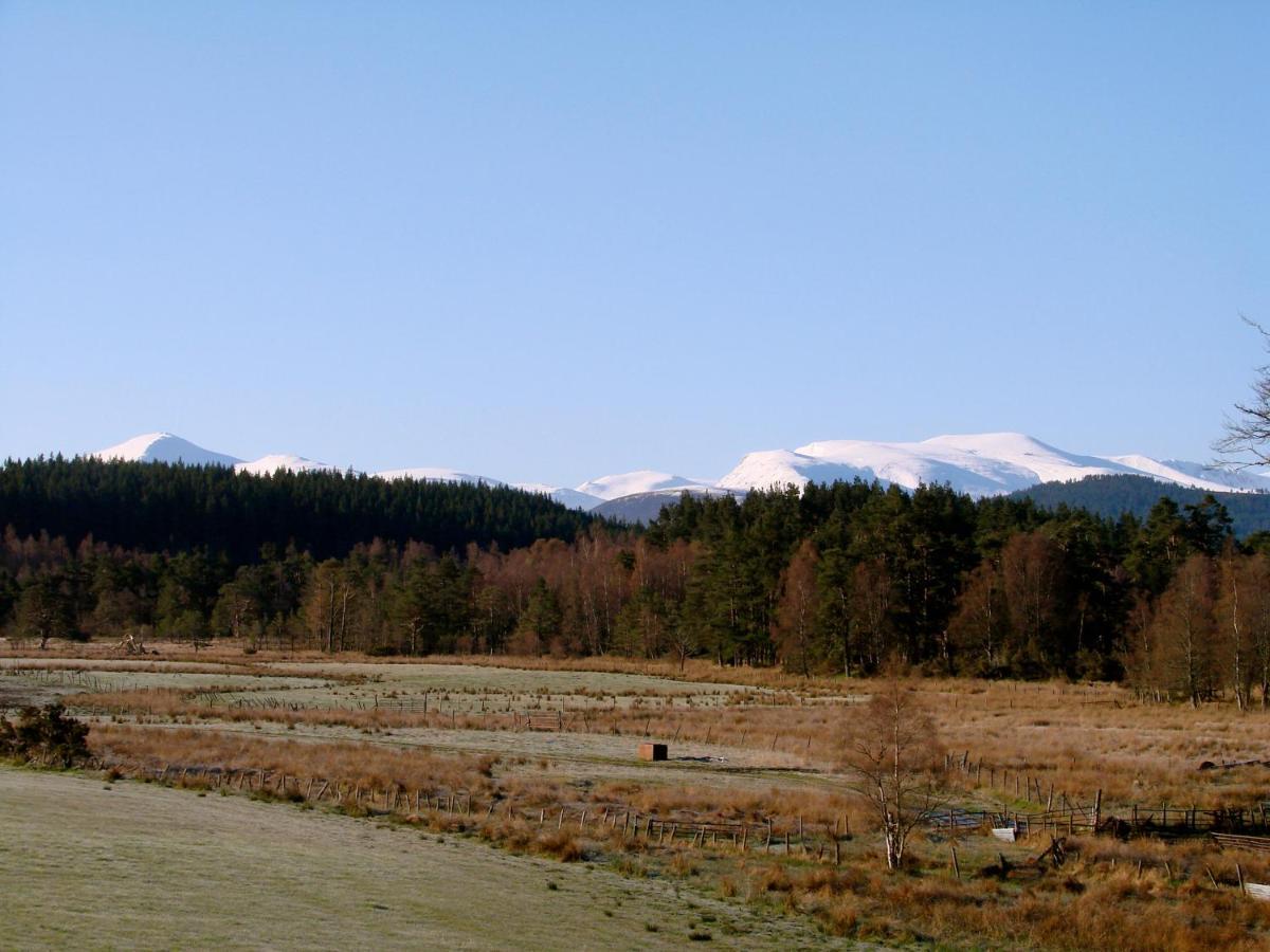 شقة The Dell Of Abernethy - A Woodland Hideaway نيثي بريدج المظهر الخارجي الصورة